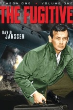 Watch The Fugitive 123movieshub